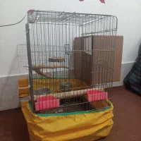 قغس کاسکویی با تمام لوازم میله زخیم در حد نو