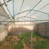 سازه گلخانه|ابزارآلات|فارسان, |دیوار