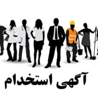 منشی به عنوان راهنما به فروشگاه