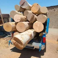 خریداران چوب هستیم همه جور همه جا