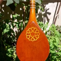 سه تارحرفه ای|سازهای سنتی|مشهد, مشکینی (شهرک غرب)|دیوار