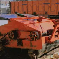 برگ زن چغندر نو
