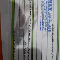 تیبا ۲ پلاس|خودرو سواری و وانت|سنندج, |دیوار