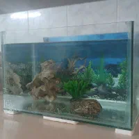 شیشه آکواریوم