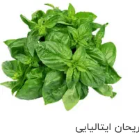 سبزی خارجی و کالاهای فرش