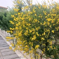 فروش باغ ویلا دارای سند ۷۵۰مترفول فرنیش(ملارد)|فروش خانه و ویلا|تهران, آبشار تهران (دریاچه)|دیوار