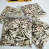 قارچ بلانچ شده با مدت نگهداری بالا