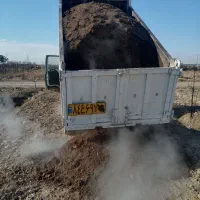 کود|خدمات باغبانی و درختکاری|رباط‌کریم, رباط‌کریم|دیوار