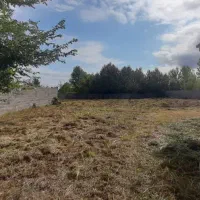 فروش زمین|فروش زمین و ملک کلنگی|رشت, لاکان|دیوار