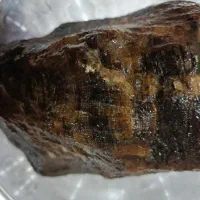 سنگ چوب فسیل شده