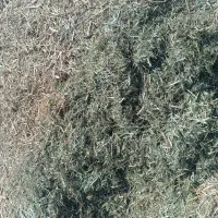 یونجه  خرمن کوب سوده