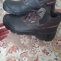 کفش کوهنوردی