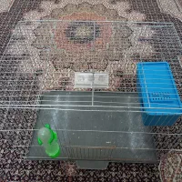 قفس پرنده با لوازم|لوازم جانبی حیوانات|اردبیل, |دیوار