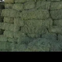 فروش یونجه درجه و کاه سفید|لوازم جانبی حیوانات|شیراز, وحدت|دیوار