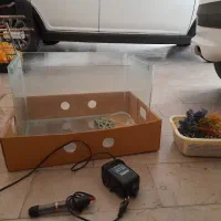 اکواریوم بخهه همراه وسایل جانبی