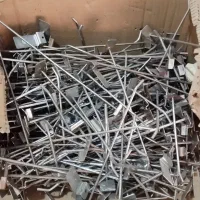 شاخک رگال