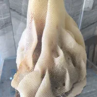 عسل طبیعی|خوردنی و آشامیدنی|نجفآباد, سعدی|دیوار