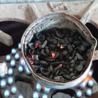 کربن زغال پوسته پوست پسته بادام زردآلو آلبالو|کوهنوردی و کمپینگ|شاهینشهر, مورچه خورت|دیوار