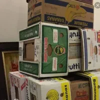 کارتون موزی