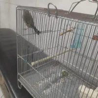 سهره کرمانی نربخون