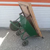 فرقون