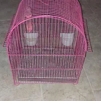 قفس پرنده|لوازم جانبی حیوانات|هشتگرد, فاز ۱ مهستان|دیوار