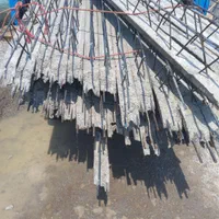 تیرچه کرومیت وتیرچه بتنی|خدمات پیشه و مهارت|رشت, خرسندی|دیوار