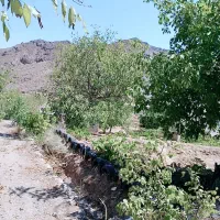 ویلا-باغ-سلیمانیه