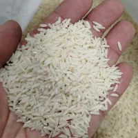 برنج هاشمی