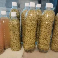 باقلا خلالی و لپه ای