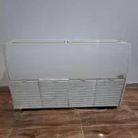 فن کوئل