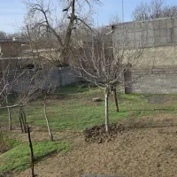 زمین کلنگی وزمین سند دار