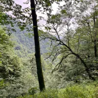 فروش خانه باغ دهبکری