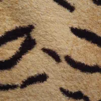 ۲خط روند منطقه الهیه