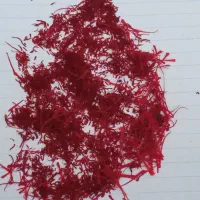 زعفران شکسته و نرمه|خوردنی و آشامیدنی|مشهد, درزآب|دیوار