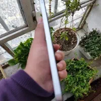 تبلت A9|تبلت|بانه, |دیوار