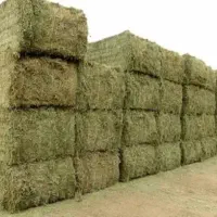 فروش یونجه