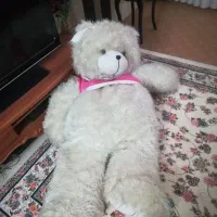 عروسک|اسباببازی بچه|قم, شهرک فاطمیه|دیوار