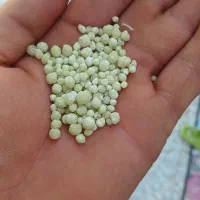 فروش کود دی امونیوم فسفات رازی|خدمات باغبانی و درختکاری|پاسارگاد, |دیوار