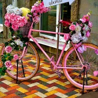 دوچرخه 16