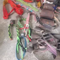 زنگوله|لوازم جانبی حیوانات|دورود, |دیوار