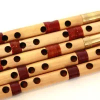 نی هفت بند|سازهای سنتی|رباط‌کریم, رباط‌کریم|دیوار