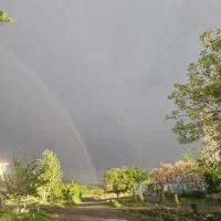 زمین-20هزارمتری-اول-جاده-باغرود-سند-تک-برگ