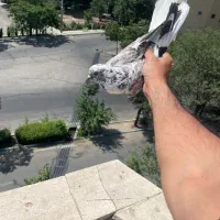 کفتر پرشی
