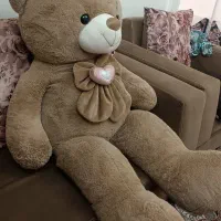 خرس بزرگ|اسباب‌بازی بچه|کرج, حصارک پایین|دیوار