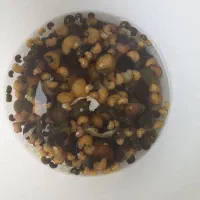 فروش عمده ماهی زبرا انواع سایز و رنگ|ماهی|تهران, آرژانتین|دیوار