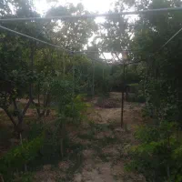 فروش باغ ویلا ۱۰۰۰ متری|فروش خانه و ویلا|تیران, |دیوار