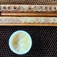ژل رویال