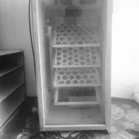 دستگاه جوجه کشی
