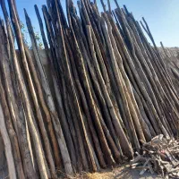 تیرچوبی گلخانه‌ای